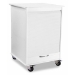 Island 2 Foot Lab Cart - 50591-SC